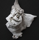 Foglia1
