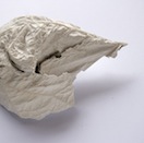 Foglia3