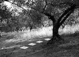 Seconda_vita2