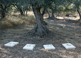 Seconda_vita