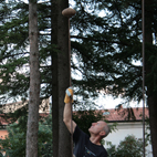 sospesi4